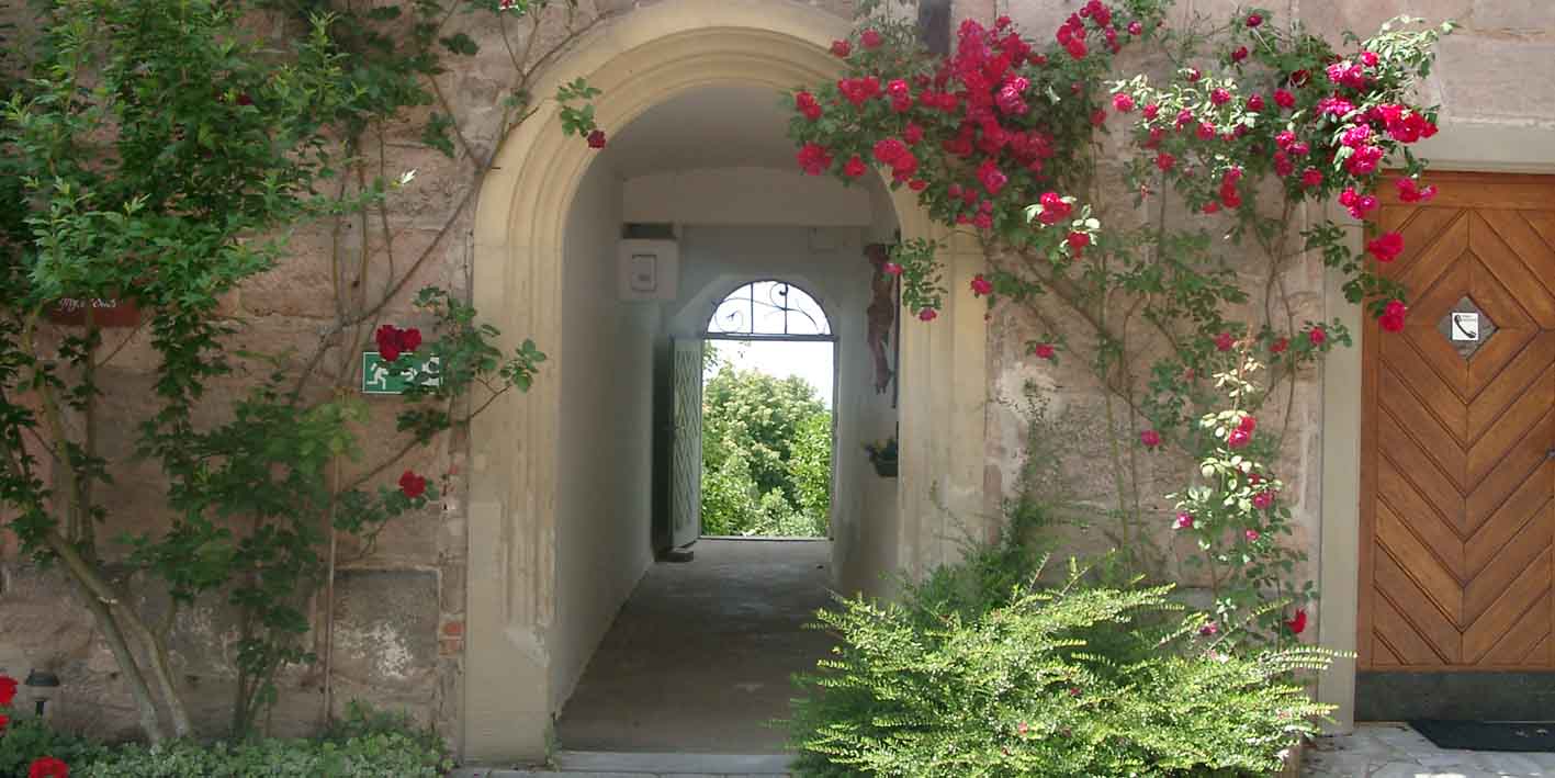 Wunderbar blühende rote Rosen rund um ein offenes Tor mit Blick in die Weite - das ist das Bildmotiv für den Studiengang Christliche Spiritualität.